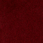 Excellence Carpet