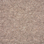 Fashion Carpet